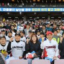 해남야구장 이미지