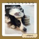 내츄럴피드라인 | [오늘도 루시랑,] 강아지를 위한 건강한 한끼, 자연화식추천! 내추럴피드😋