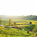 엠스클럽의성(18홀) 이미지