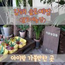 한림농장 | [김해] 한림 슬로에팜 알로에 슬라임 체험 알로에농장 | 실내 아이랑 가볼만한 곳