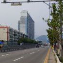 산호동197 이미지