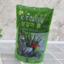 흙 쇼핑하우