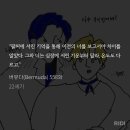 버뮤다 순애 ㅈㄴ낀다 ㅅㅍㅅㅍ강ㅅㅍ 558 이미지