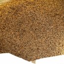 홀그레인호밀농장 이미지