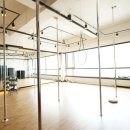 장폴 폴댄스 이미지