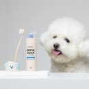 클린바이 이미지