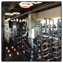 소나무 휘트니스 이미지