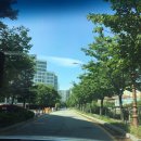 서울시립노원청소년수련관 이미지