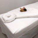 하로스파 이미지