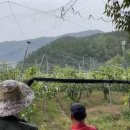 두배농장 이미지