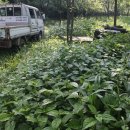 용규농장 이미지