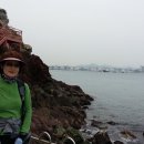 감정초교 이미지