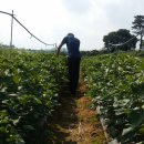 산들농장 이미지