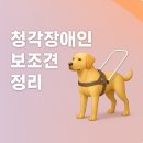 영동군 지체장애인협회 | 청각장애인 보조견 정리, 훈련 과정부터 지원제도까지