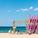 비치버거 이미지