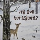 숲속머리방 이미지