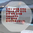 은하수공인중개사사무소 이미지