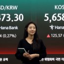 개미전자 - 강북구 삼양로54길 95 | 개미전자