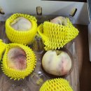 <b>한진</b><b>택배</b> 빡치네요 진짜