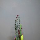 플로라 & 디자인스쿨 이미지