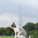 손호영&김태우 <호우주의보 콘서트>(공연취소) | 호우주의보 콘서트 후기 손호영 김태우 god 올림픽공원 수변무대