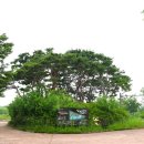 금와습지 생태공원 이미지