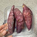 도시농장 꿀 고구마, 당구마 공구 구매후기 내돈내산