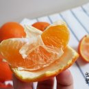 월광농장 이미지