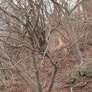 안산-대부-대부-4 이미지