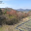 안성면116 이미지