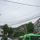 더 숲Ⅱ 이미지