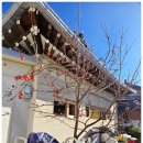 수채화 예술 도자기 | 경주 가볼만한곳 황리단길 맛집 '료코(RYOKO)' | 오므라이스 &amp; 누들의 수채화 같은 미학 (내돈내산 후기)