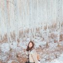 창원목장 이미지