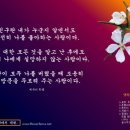 꽃담화원