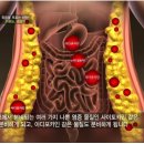 이지피트니스 네이버블로그