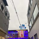 미루상회 | 압구정로데오 스시미루 런치 18주 임산부 오마카세 먹다🤰🏻