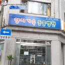 양지동물병원 네이버블로그