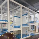 아 그 이발소 | 파주 아이와가볼만한곳 브레드 이발소 키즈카페 파주 운정점 솔직 후기