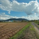 궁말농장 이미지