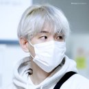 EXO 백현 ‘하얀머리’, 팬레터 읽는 목격담으로 실트 올라… “기분 좋아” 이미지