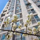 잼있는날 이미지