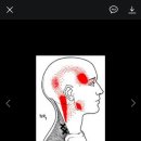 태경사우나 이미지