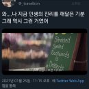 다니다니 이미지