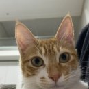 인계동본동 이미지