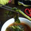 해동토종칼국수족발 이미지