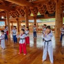 무들마리 태권도장 이미지