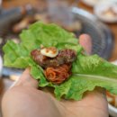 한라비장탄