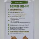 애견천국 | 수원 애견카페 소형견 천국! 수원 퍼피해피 방문 후기