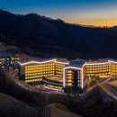 국제세탁프라자 이미지