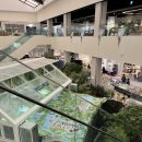 이케아다기스(동부산)어린이집 | 부산 기장 아이랑 실내 체험 동부산 메종 여주곤충박물관 방문 후기